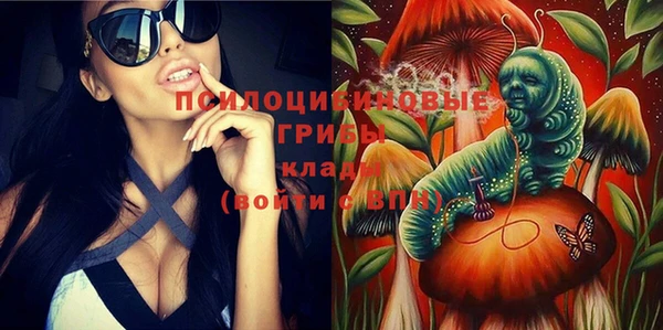 дмт Баксан