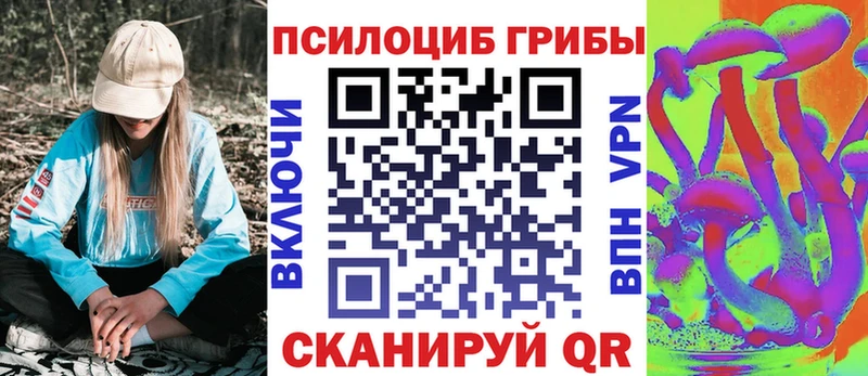 где найти   ОМГ ОМГ зеркало  Псилоцибиновые грибы GOLDEN TEACHER  Лиски 